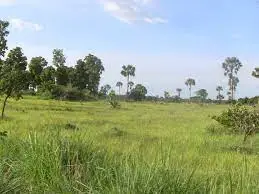 La savane entre Kilikoto, Balamba et  Boalondo